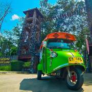 ธรรมชาติและสัตว์ป่า