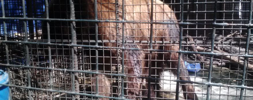 Malabon Zoo