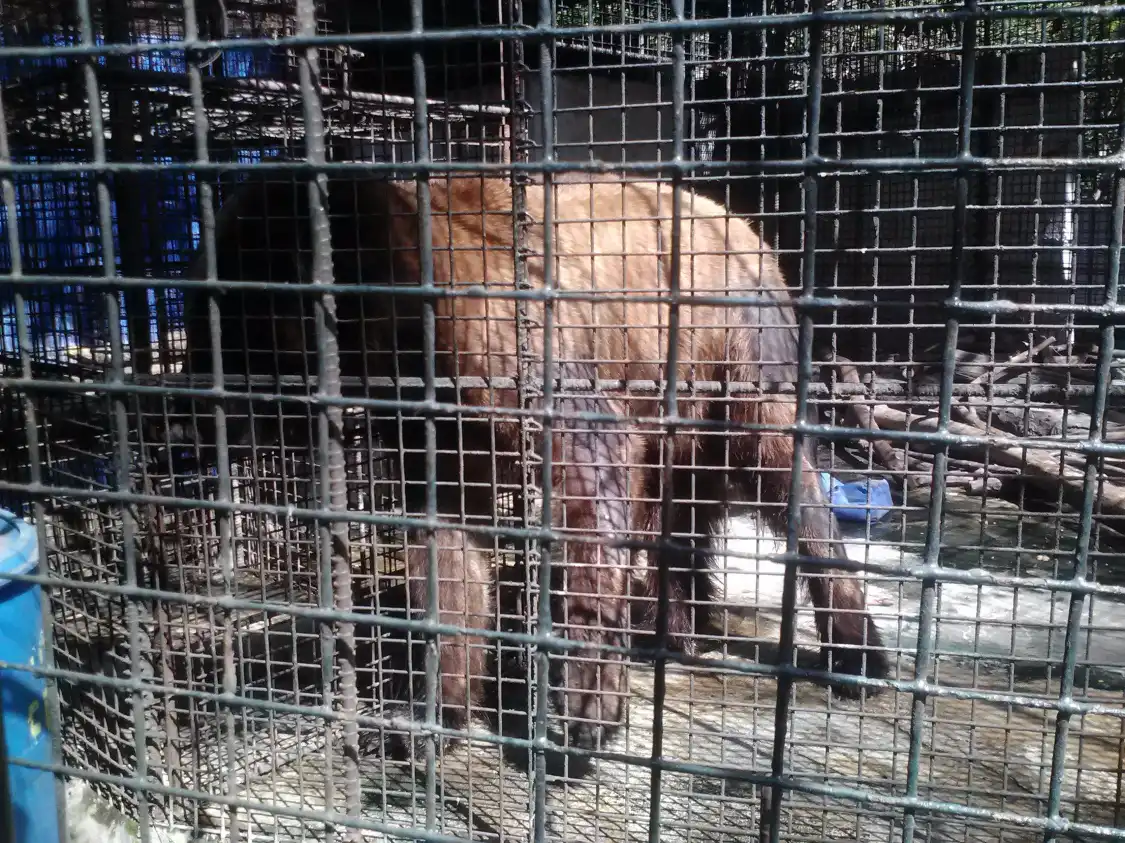 말라본 동물원 주변 호텔