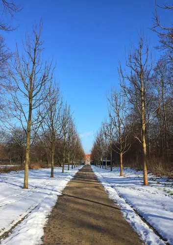 Hellerup