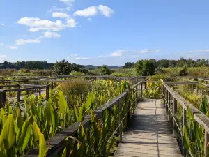 The Water Gardens of Carsac