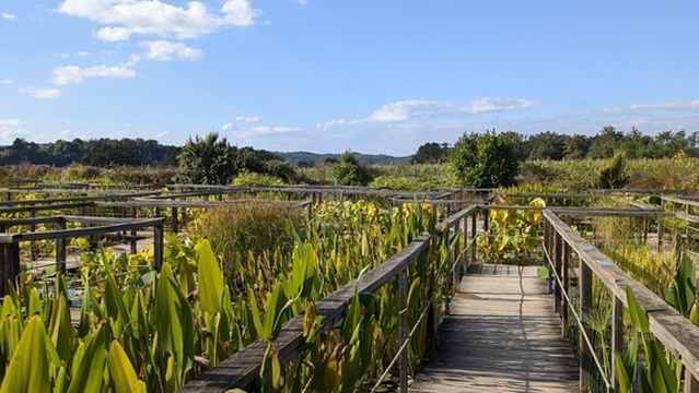 The Water Gardens of Carsac