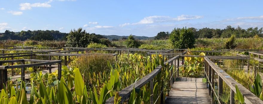 The Water Gardens of Carsac