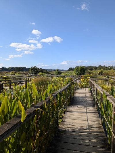 The Water Gardens of Carsac