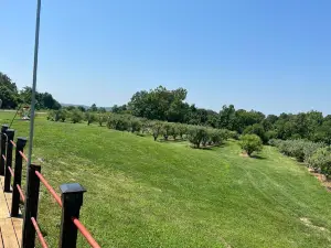 Von Jakob Winery & Brewery