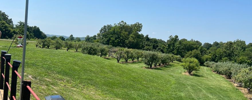 Von Jakob Winery & Brewery