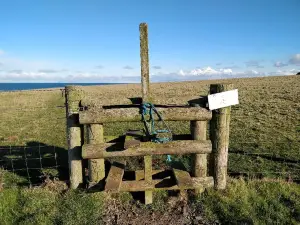 Browns Bay