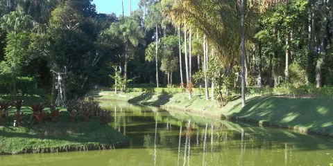 Mariano Procopio Museum