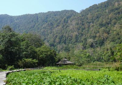 Khuan Don