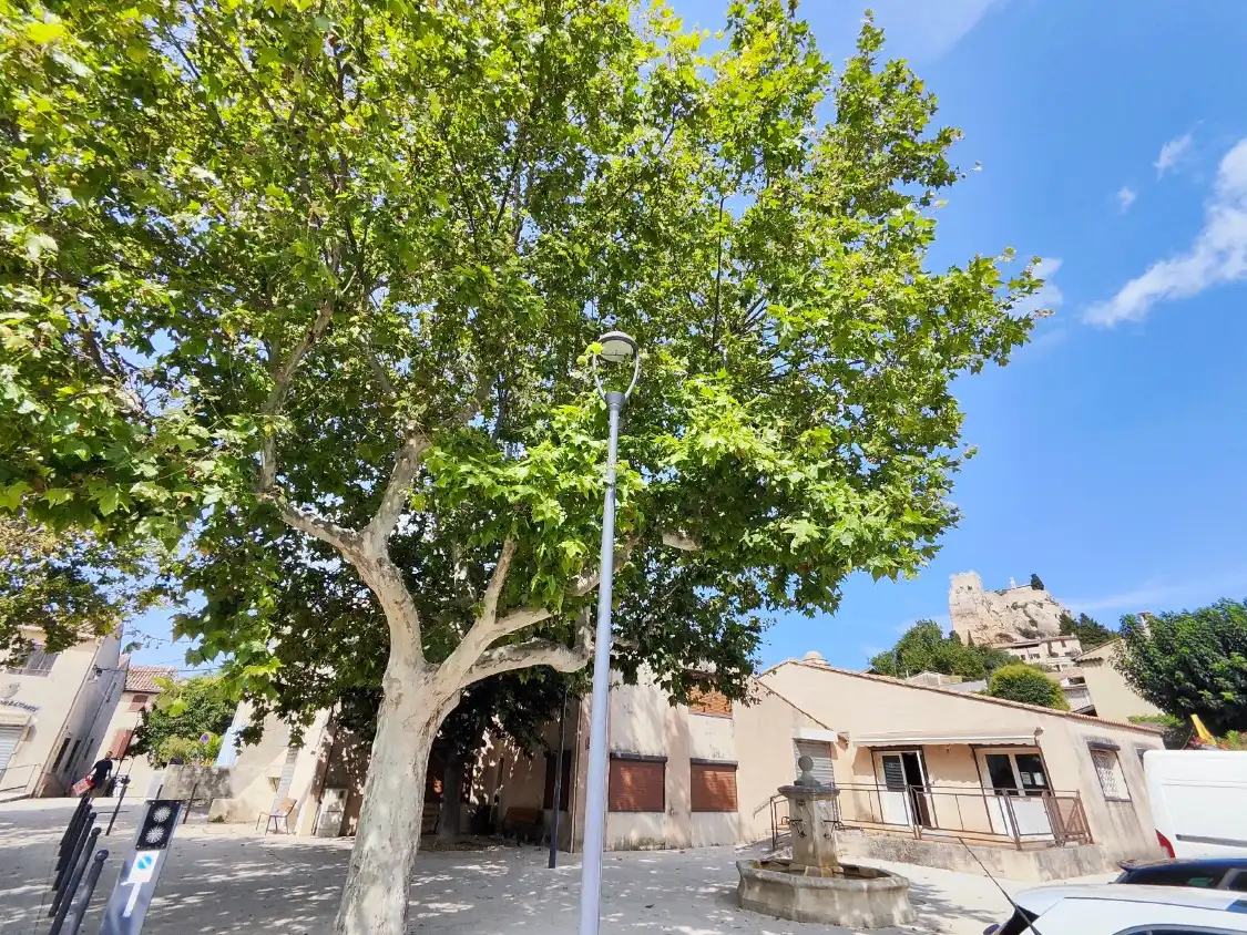 Hotels near Rocher de Vitrolles