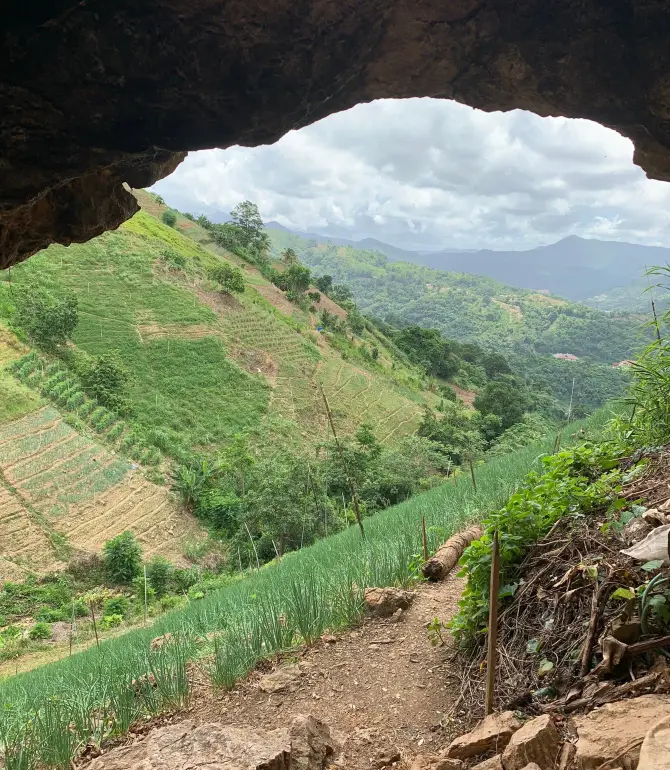 Bejucal