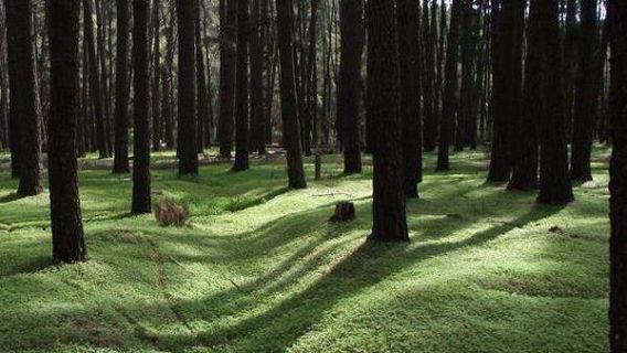 Gooralong Park