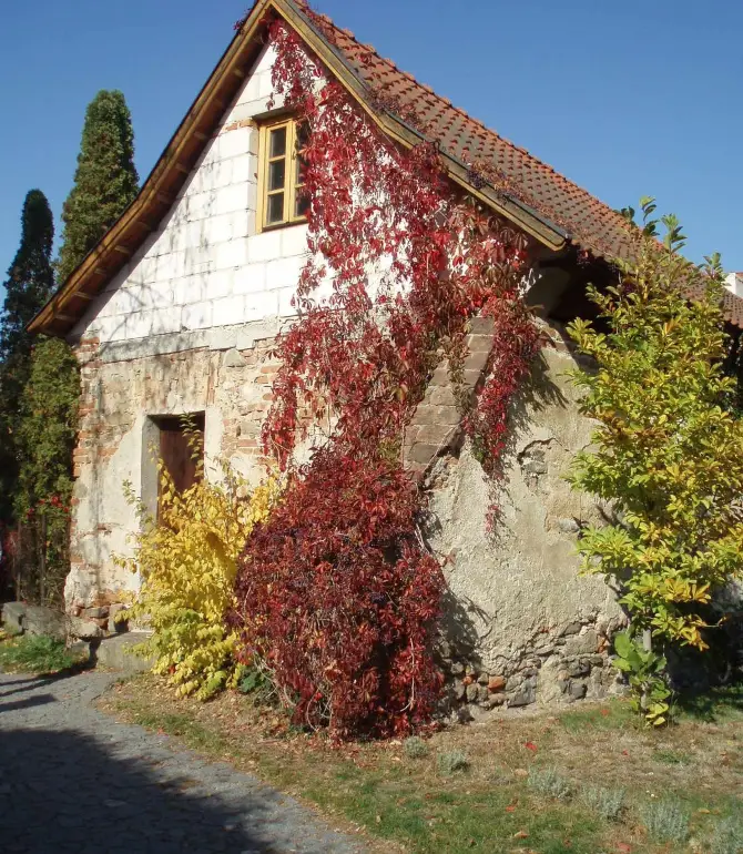 Týnec nad Sázavou