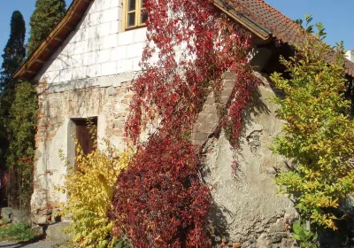 Týnec nad Sázavou