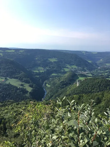 Muriaux