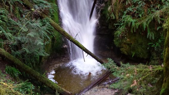 Burnett Falls Park