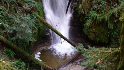 Burnett Falls Park