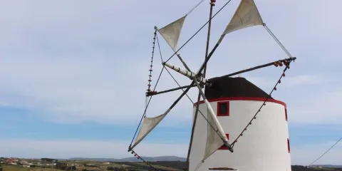 Boneco Windmill