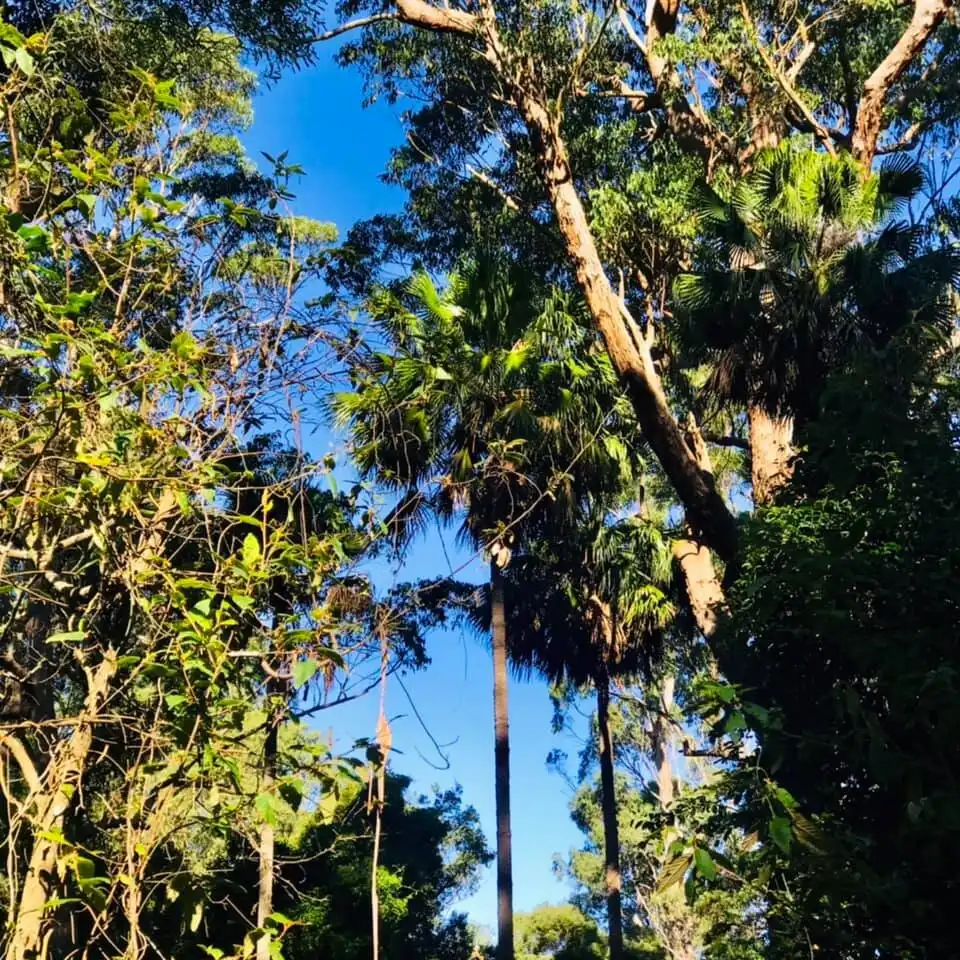 Hotels near Cabbage Tree Creek Flora Reserve.
