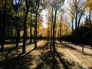 Парк Хенераль Гутьеррес