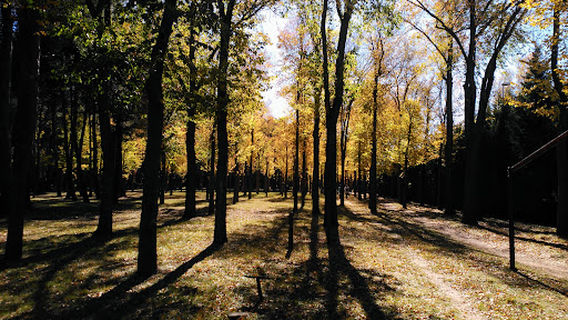 General Gutiérrez Park