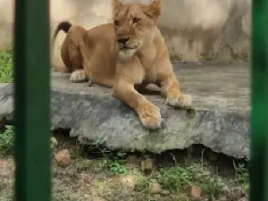 ParcZoo
