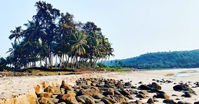 Wayangani Beach
