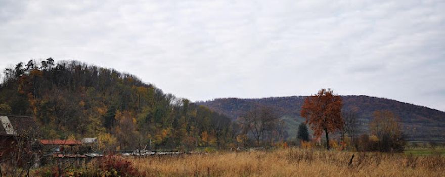 Gurghiu river