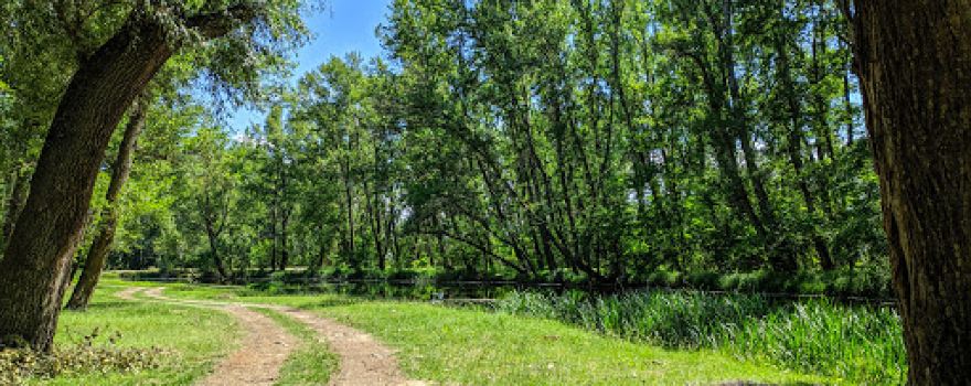 Rezervația Naturală Pădurea Merișor