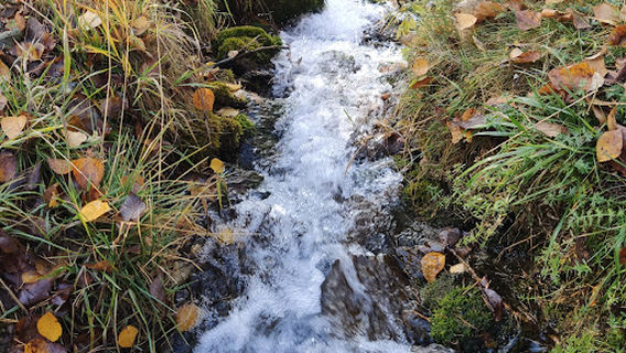 ヴォドパド・プラクン