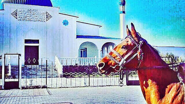 Tsentral'naya Mechet'