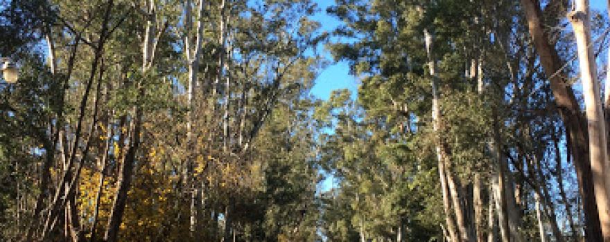 Club de Campo Moro