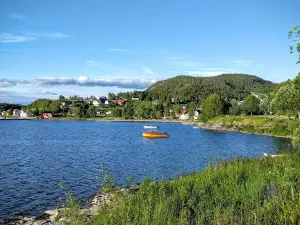 Viosen