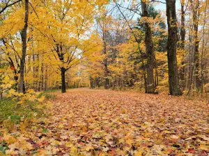 Terre-des-Jeunes Park