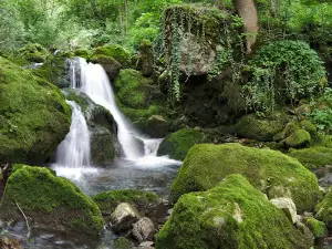 Vazova trail - starting from the village of Gara Bov