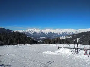 Hochserles