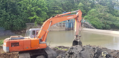Patung Bogani