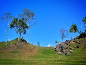 Seger Nusantara