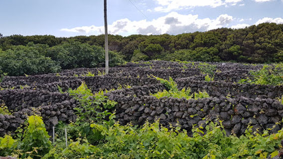 Azure Outdoor Parque de Campismo dos Biscoitos