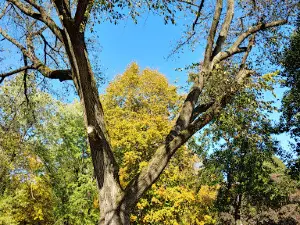 River View Community Park