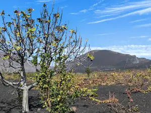 Fogo National Park