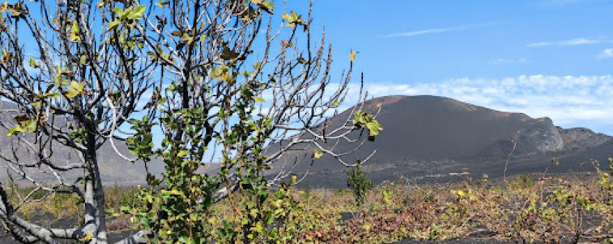 Fogo National Park