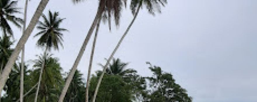 TPI Sitiris - Tiris