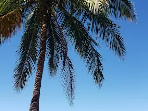 Gavilla Beach