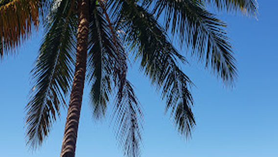 Gavilla Beach