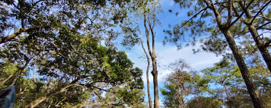 Lomsak Cliff