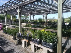 Stockmen's Greenhouse & Garden Center