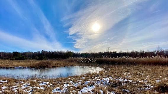 Further Moor