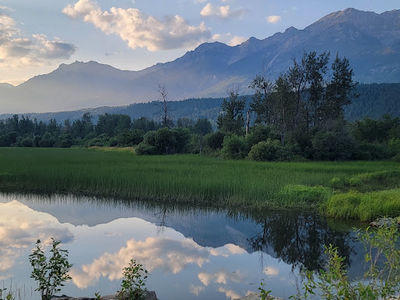 Organic Sports Ranch