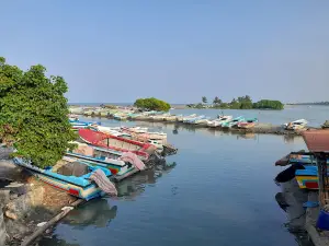 Kokkilai Bird Sanctuary